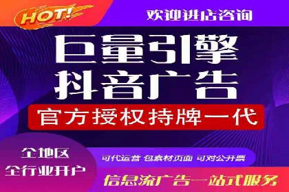 社交平台信息流竞价广告的投放策略与效果